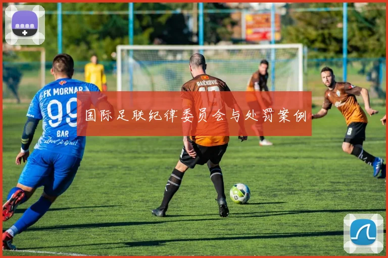 国际足联纪律委员会与处罚案例