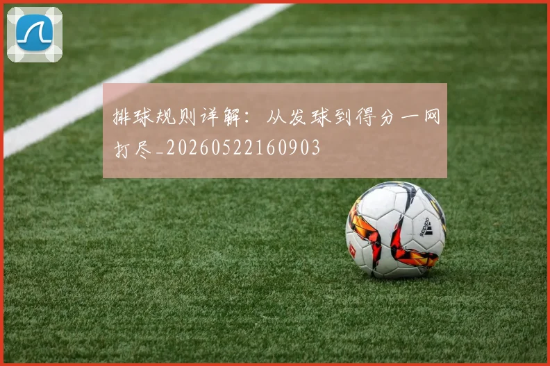排球规则详解：从发球到得分一网打尽_20260522160903