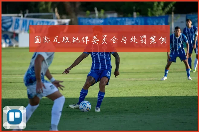 国际足联纪律委员会与处罚案例