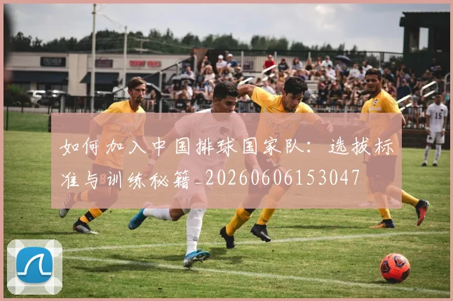 如何加入中国排球国家队：选拔标准与训练秘籍_20260606153047